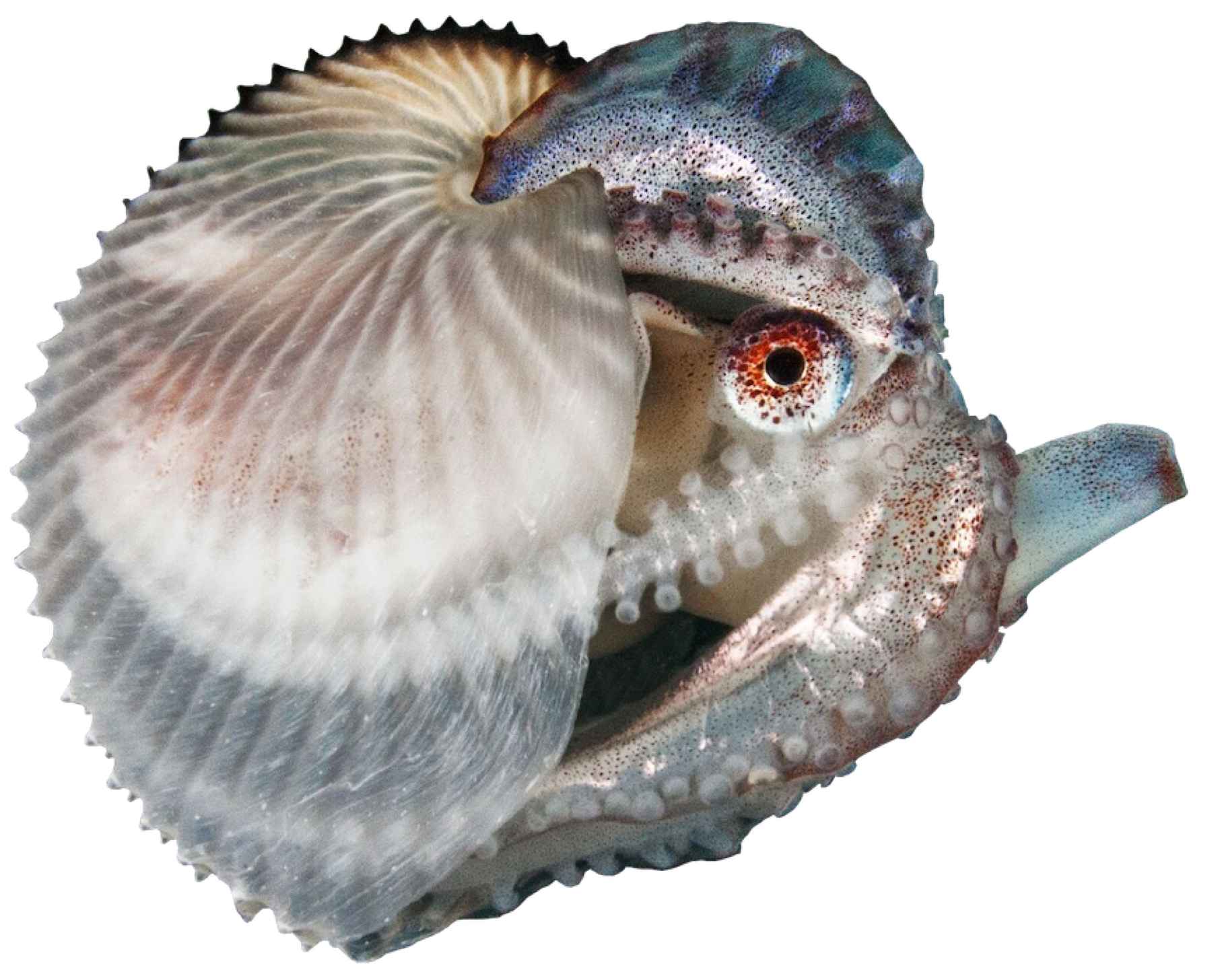 célébration du travail manuel et de la technique